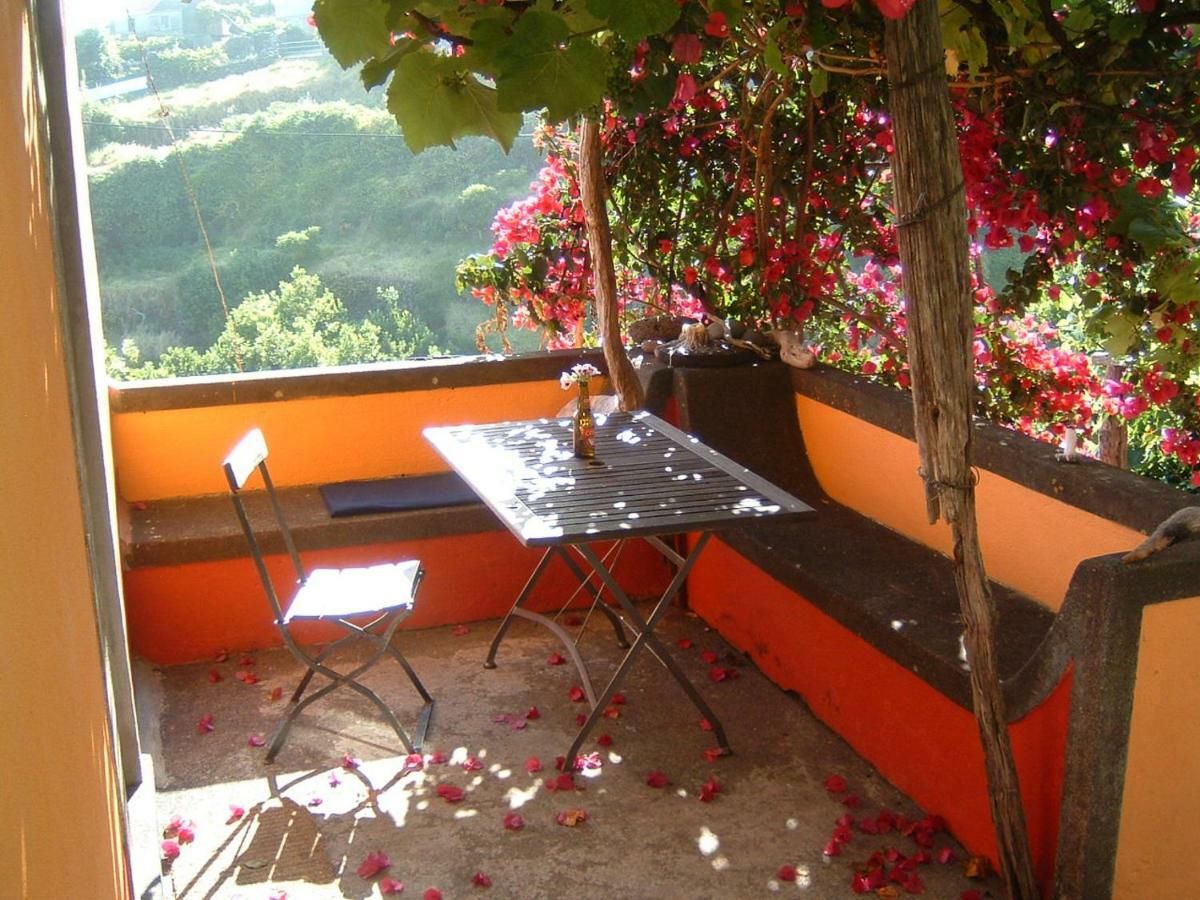 Madeira-Meerblick-Haus Estreito Da Calheta 外观 照片