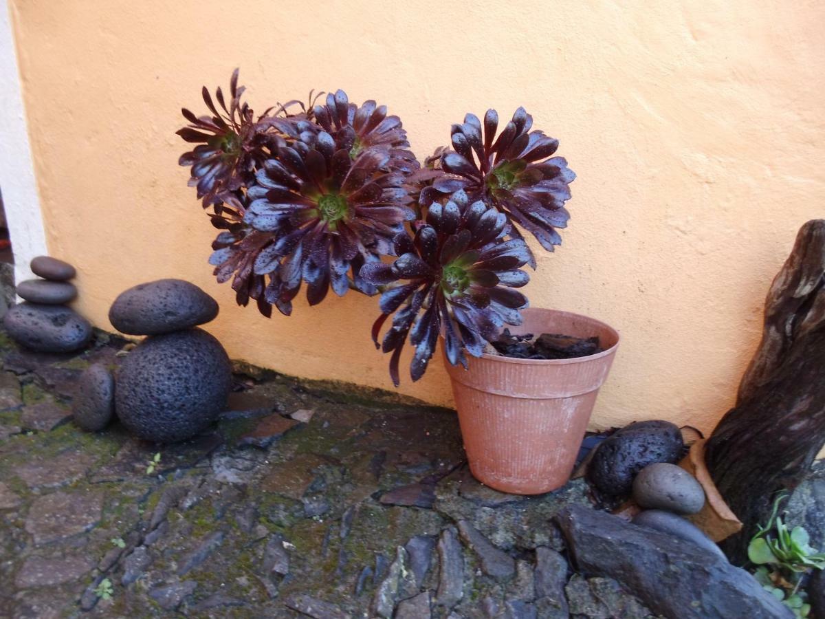 Madeira-Meerblick-Haus Estreito Da Calheta 外观 照片