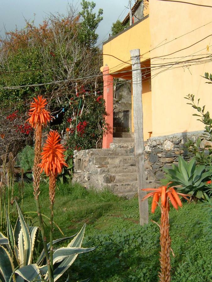 Madeira-Meerblick-Haus Estreito Da Calheta 外观 照片