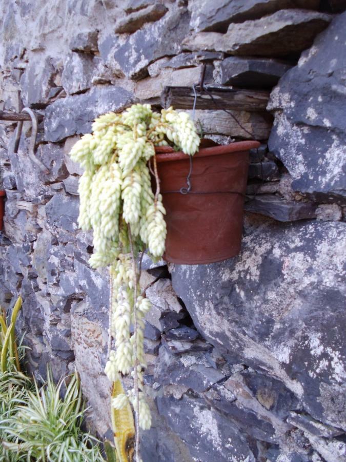 Madeira-Meerblick-Haus Estreito Da Calheta 外观 照片